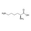 L-Lysine antibody