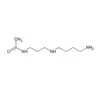 N1-Acetyl-Spermidine antibody